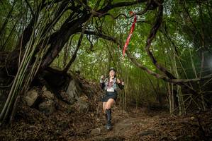 BIB: 
                            <button type="button" onclick="openModal(22178648)" class="btn btn-primary btn-sm float-right btn-popup" data-toggle="modal" data-target=".modal-high-quality">
                        <i class="fas fa-shopping-cart"></i> Add to Cart
                    </button>
                                            <button type="button" onclick="isThisMe(22178648, true)" class="btn btn-success btn-sm float-right btn-popup btn-isme hidden" data-toggle="tooltip" data-placement="bottom" title="นี่คือรูปของคุณใช่ไหม คลิกที่นี่เพื่อเอาเข้าอัลบั้ม">
                        <i class="fas fa-plus"></i> Add to album
                    </button>
                    <button type="button" onclick="isThisMe(22178648, false)" class="btn btn-warning btn-sm float-right btn-popup btn-isnotme hidden">
                        <i class="fas fa-ban"></i> Remove from album
                    </button>